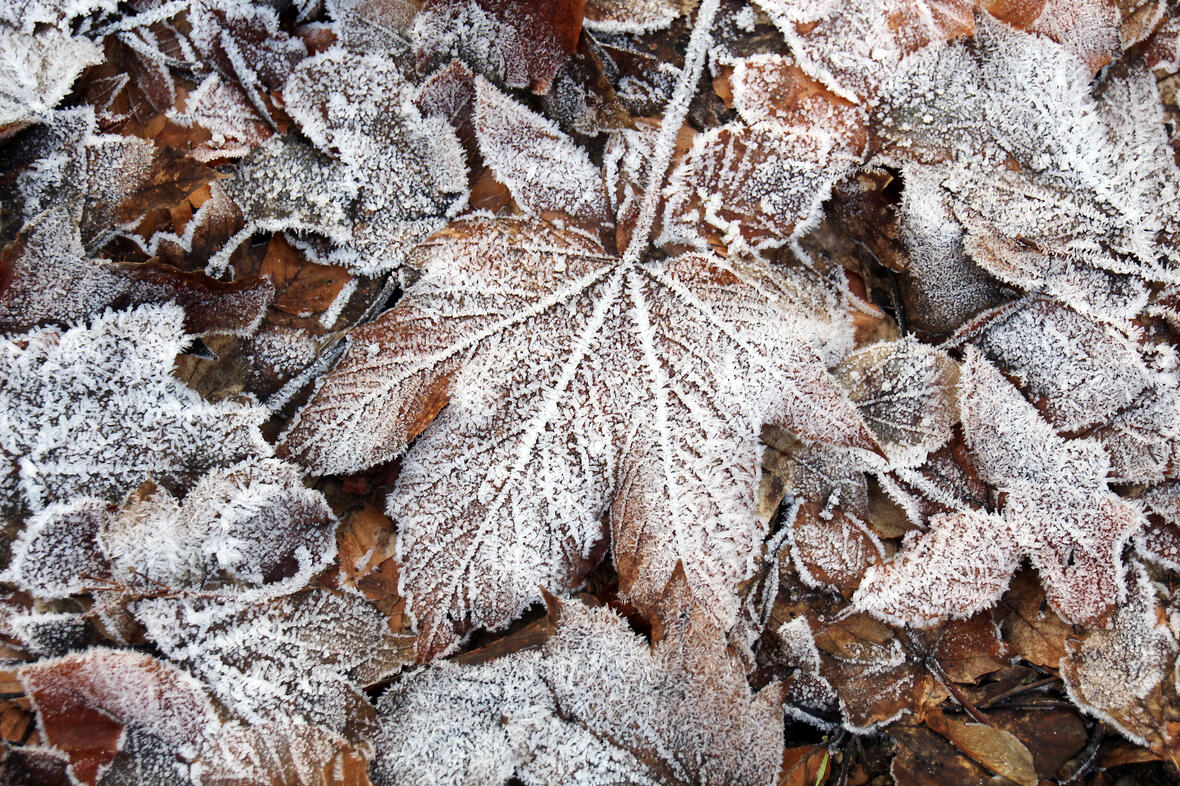 © PETER WEIDEMANN - ERFURT, pfarrbriefservice.de